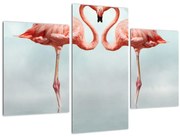 Obraz dvoch plameniakov (90x60 cm)