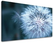 Obraz na stenu KVETY | rôzne rozmery