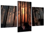 Obraz temného lesa (90x60 cm)