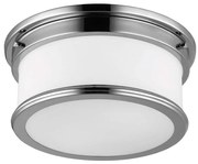 Feiss FE-PAYNE-F-BATH -Kúpeľňové stropné svietidlo PAYNE 2xE27/60W/230V IP44