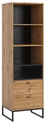 Knižnica Olier R60 OL04, Farby: dub artisan / dub artisan + čierny