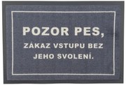Rohožka so psím dovolením 40x60 cm – na von aj na doma, 40x60, šedá, GDmats
