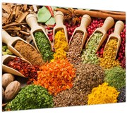 Sklenený obraz - Korenie z celého sveta (70x50 cm)