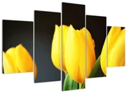 Obraz tulipánov (150x105 cm)