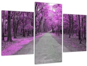 Obraz - Cesta parkom (90x60 cm)