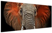 Obraz - Slony z Tsavo (120x50 cm)