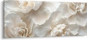 Obraz - Jemné pivonky (120x50 cm)