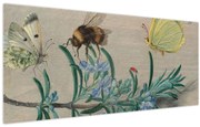 Obraz - Jan van Kessel the Elder, Insects and a Sprig of Rosemary, reprodukcia (120x50 cm)