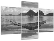 Obraz - Hojdacia sieť na pláži (90x60 cm)