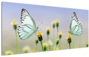 Obraz motýľov na kvetine (120x50 cm)