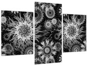 Obraz - Čiernobiele bodliaky (90x60 cm)