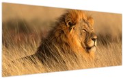 Obraz - Národný park Etosha (120x50 cm)