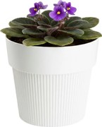 Květináč Silva Line 12,7x14,5 cm bílý