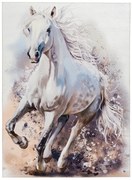 AKCIA: 80x120 cm Detský kusový koberec Torino kids 235 WHITE HORSE, biela, detská izba, Obsession