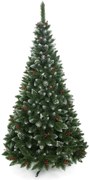 Vianočný stromček Borovica diamantová s jarabinou 250 cm