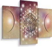 Obraz - Mandala s elementmi (90x60 cm)