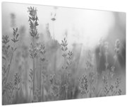 Obraz - Levanduľa (90x60 cm)