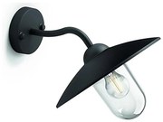Philips 01643/30/PN - Vonkajšie nástenné svietidlo HAMMOCK 1xE27/60W/230V P2314
