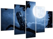 Obraz - Nočná sova (150x105 cm)