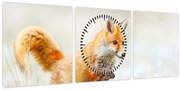 Obraz - Skákajúca líška (s hodinami) (90x30 cm)