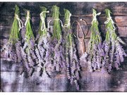 Obraz tlačený na plátne 50x70 PRC838