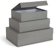 Sivé kartónové úložné boxy v súprave 3 ks s vekom/dekoratívne 42,5x29,5x13 cm Kian Paper Laminate – Bigso