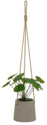 Umelá rastlina (výška 24 cm) Pilea – Casa Selección