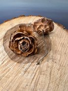 Cedar rose sušená na drôte 10cm Variant: Prírodná
