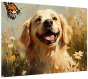 Obraz - Šťastný psík (70x50 cm)