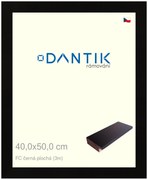 DANTIK rám na obraz 40x50 | FC černá plochá (Plexi Čiré)