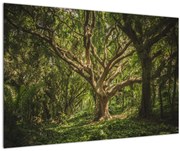 Obraz stromov (90x60 cm)