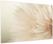 Obraz - Detaily kvetu (90x60 cm)