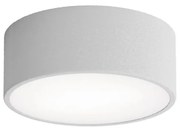 Kúpeľňové stropné svietidlo CLEO 1xE27/24W/230V pr. 20 cm šedá IP54