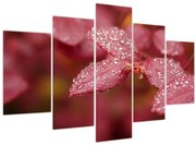 Obraz - Makro snímka lístka (150x105 cm)