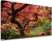 Obraz na stenu STROMY ST001E11