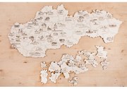 PDK1 Puzzle v drevenej krabičke - Slovensko - Hrady a zámky