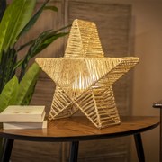 Vianočná stojacia lampa hnedá 40 cm vrátane LED IP54 nabíjateľná - Sisine