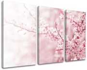 Obraz na stenu KVETY | rôzne rozmery