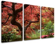 Obraz na stenu STROMY | rôzne rozmery