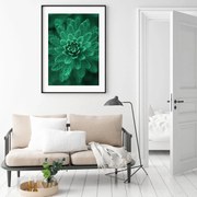 Plagát - Conifer Green (A4)