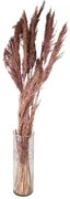 Ružová kytica sušené kvety bambusu Bamboo - 100 cm (10ks)