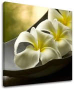 Obraz na stenu FENG SHUI | rôzne rozmery