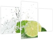 Obraz - Šťavnatých citrónov (90x60 cm)