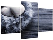 Obraz - Hniezdo lásky (90x60 cm)