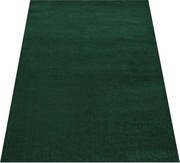 DY Zelený jednofarebný koberec Otto Rozmer: 120x170 cm