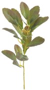 Umelá vetvička (výška 37 cm) Lemon Tree – Ixia