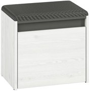 Skrinka na topánky 47x50 HYGA01 snežná borovica