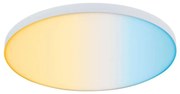 Paulmann 79928 - LED/22W Stmievateľné stropné svietidlo LORIA 230V