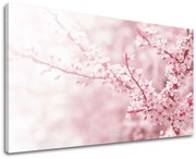 Obraz na stenu KVETY | rôzne rozmery