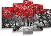 Obraz - Červené stromy, Central Park, New York (150x105 cm)